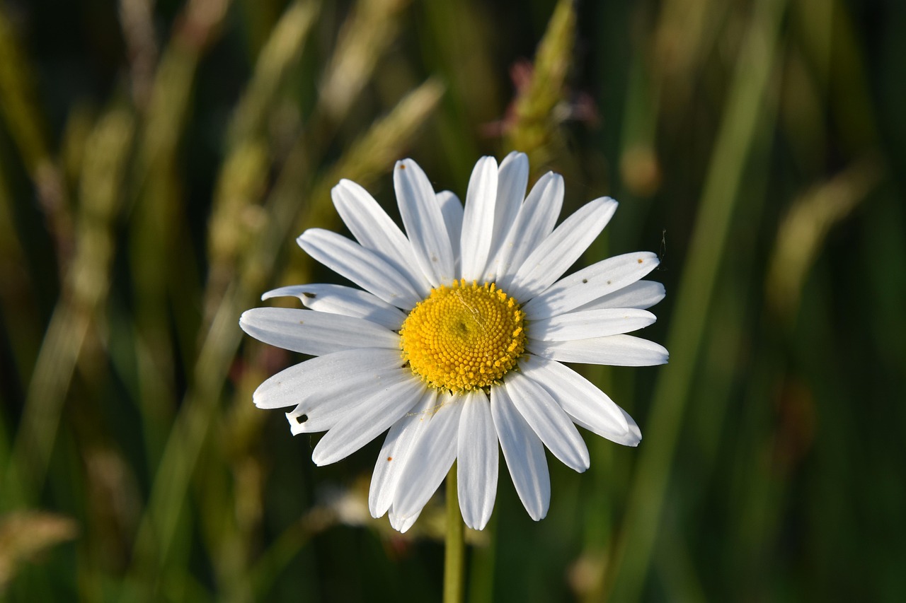 VIKTIGT ATT INTE BARA TÄNKA PÅ ÄRRET